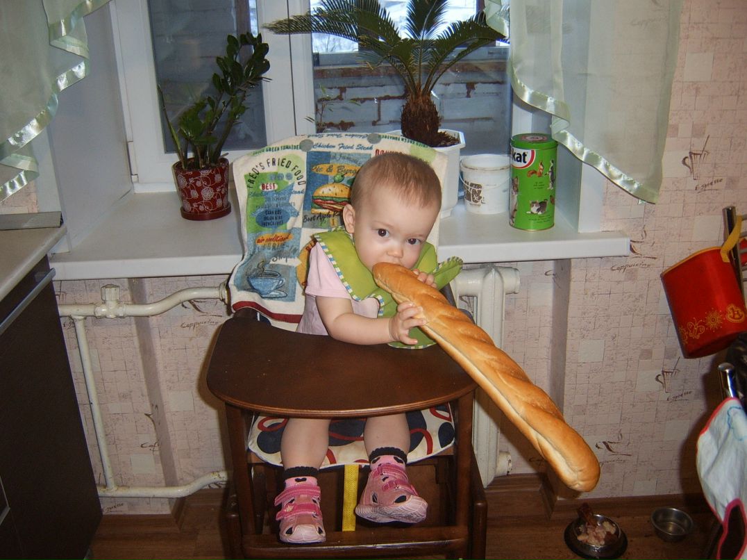 Crazy Rabbit 3A9IU, | Йошкар-Ола