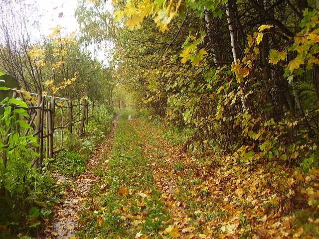 Варвара Алёшина | Москва