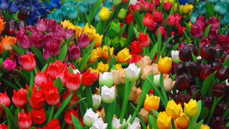 Елена Филатова | Ялта