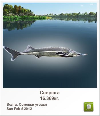 Егор Забалуев | Архангельск