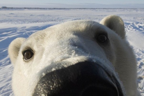 Антон Острогруд | Киев