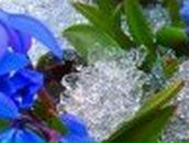 Оксана Шаповалова | New York City