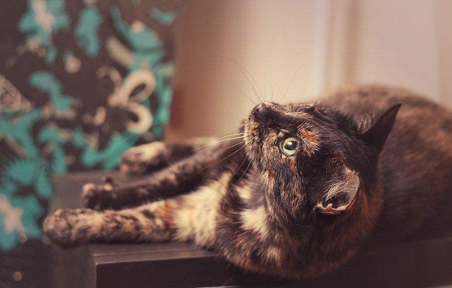 Антон Барабанов | Нижний Новгород