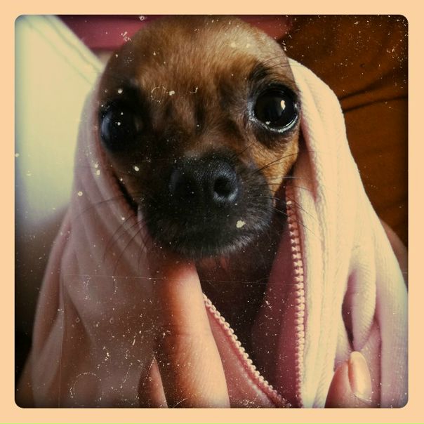 №6, Анна Карпова №6, Анна Карпова