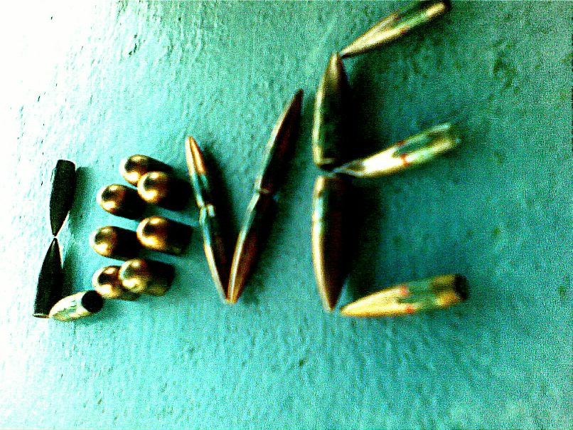 Владимир Елагин Wolf | Мелитополь