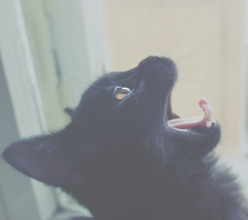 Юлия Шестерова | Выкса