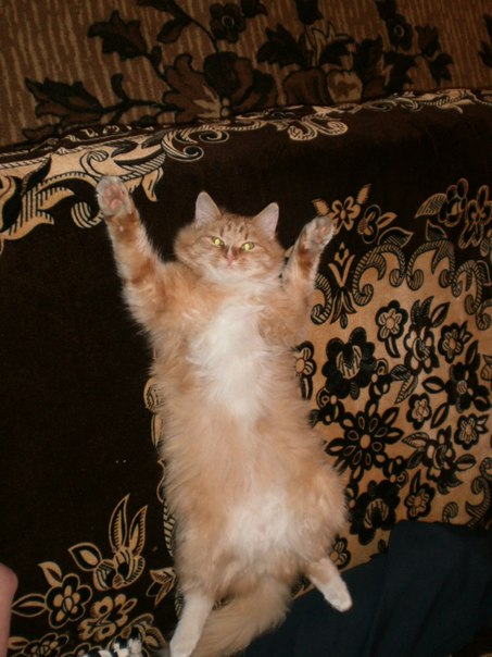 №16, Ирина Дроздова №16, Ирина Дроздова