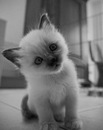 №21 Христина Тимофій 03.04.1998: профиль, фото, статус - ВКонтакте