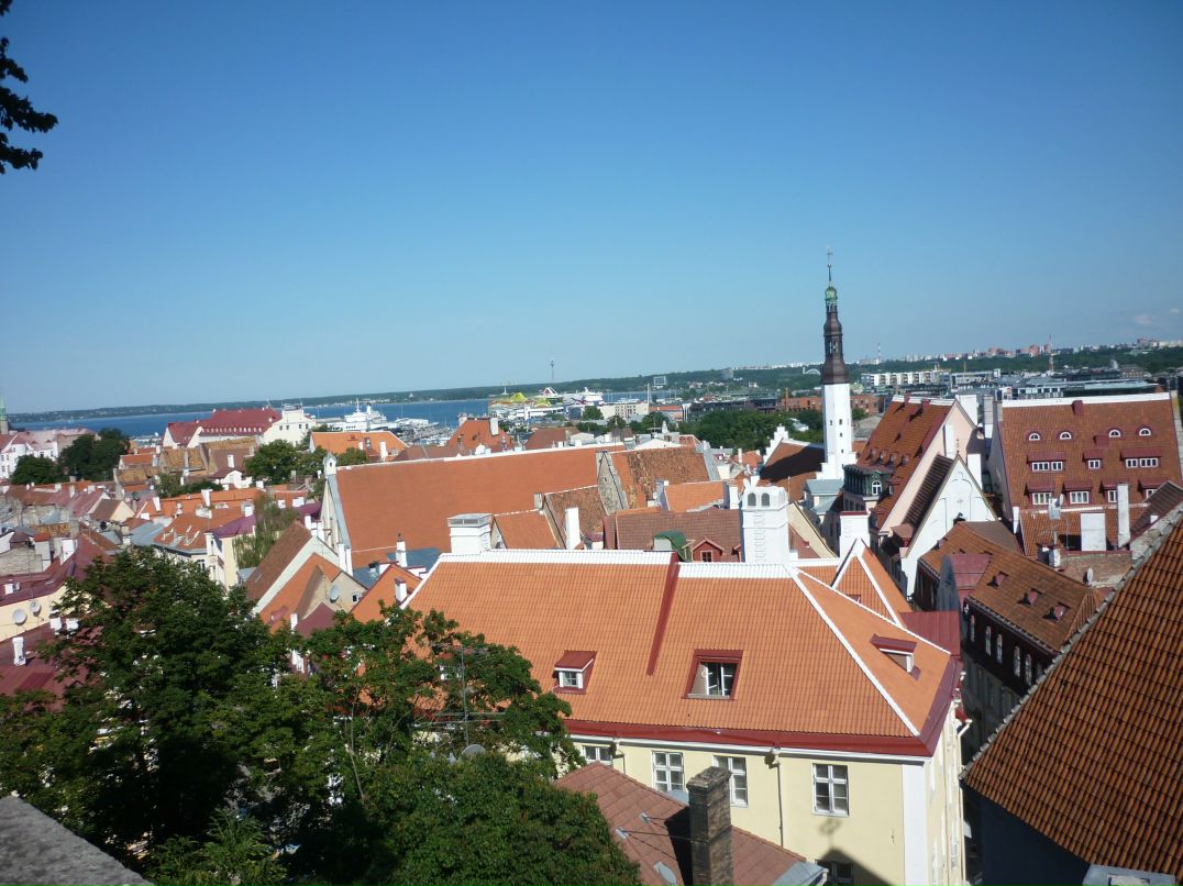 Светлана Макарова | Псков