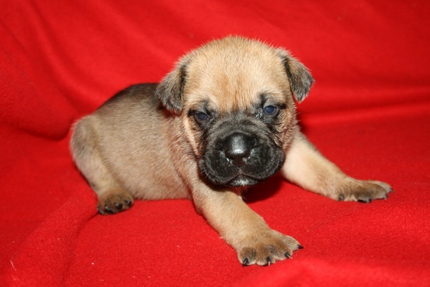 №7, Настюша Колисниченко, 09.04, Кривой Рог №7, Настюша Колисниченко, 09.04, Кривой Рог