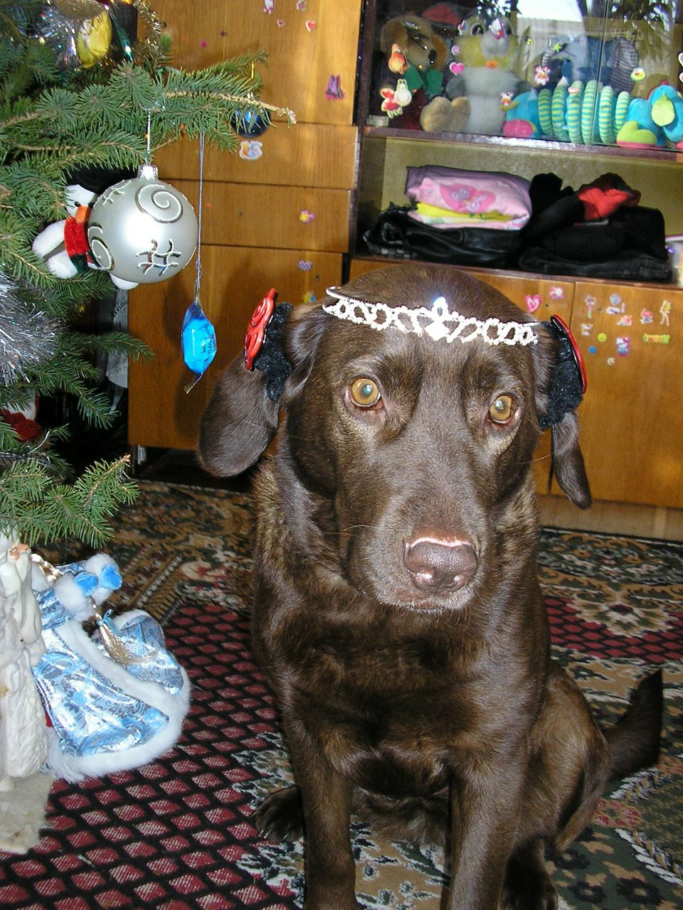 Татьяна Шимко | Киев