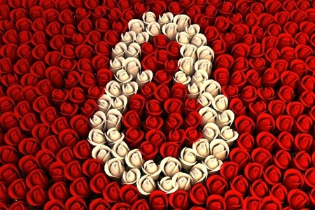 №3, Карина Бабаева, Кропивницкий / Кировоград №3, Карина Бабаева, Кропивницкий / Кировоград