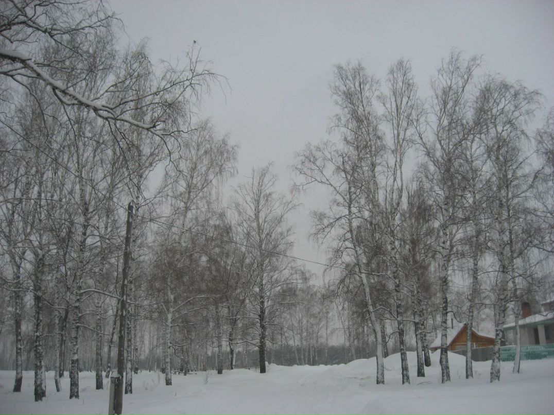 Ольга Кузнецова | Москва