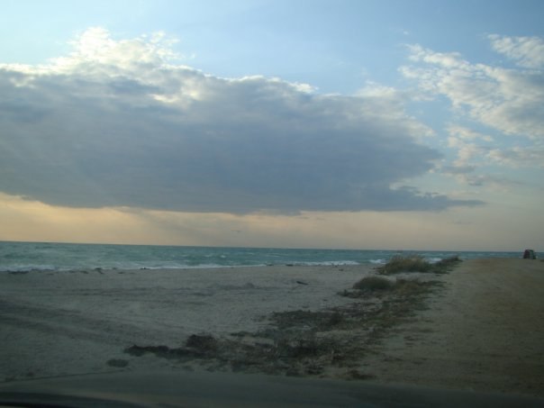 Дарья Борох | Мариуполь