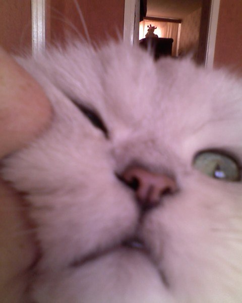 Алёна Важенина Vazhenka | Санкт-Петербург