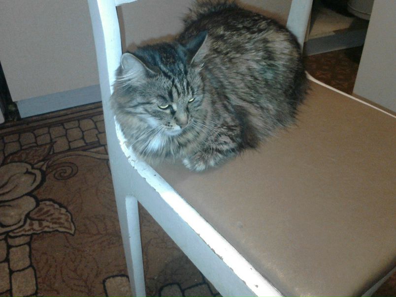 Альбина Сташкова фото со стены #6