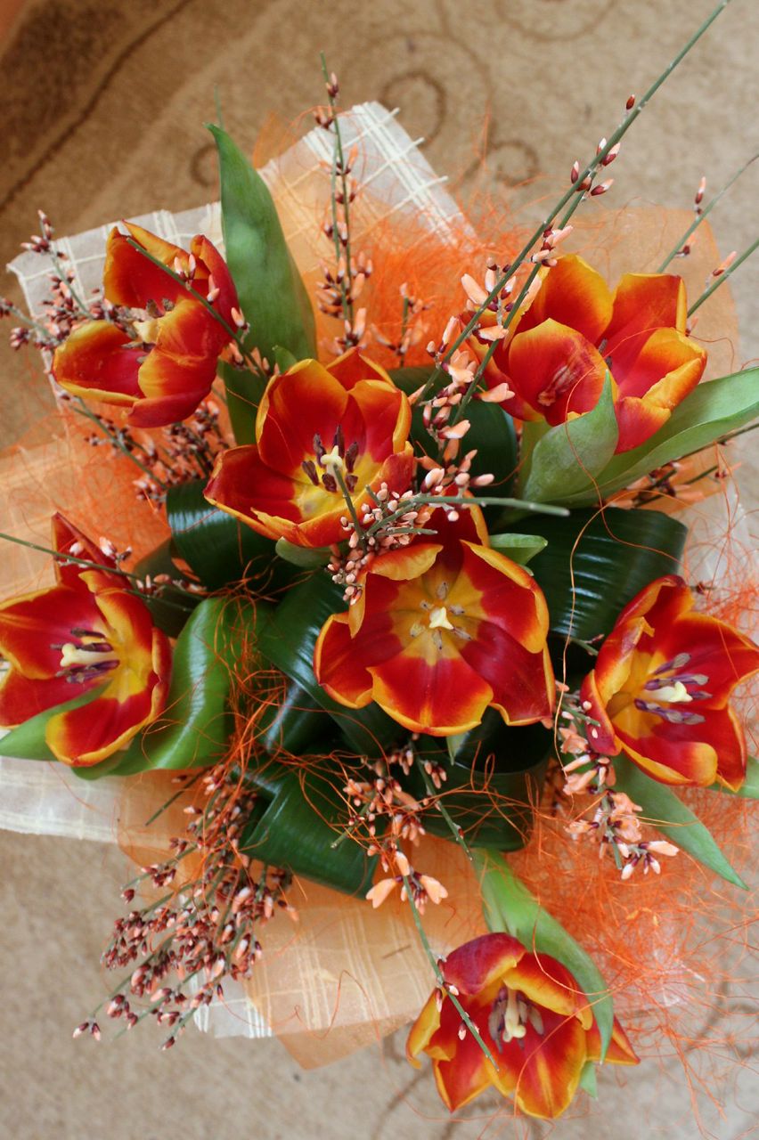 Миляуша Сурыгина | Казань