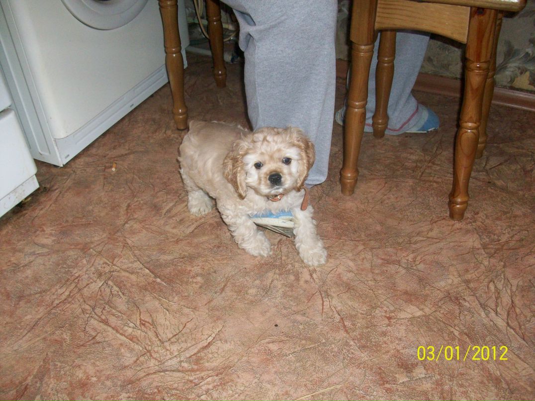 Даша Хамутинина Pandochka | Николаев