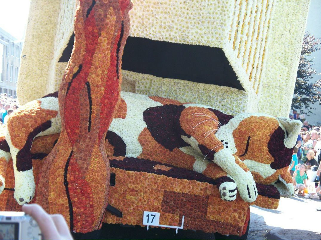 Марина Князева | Москва