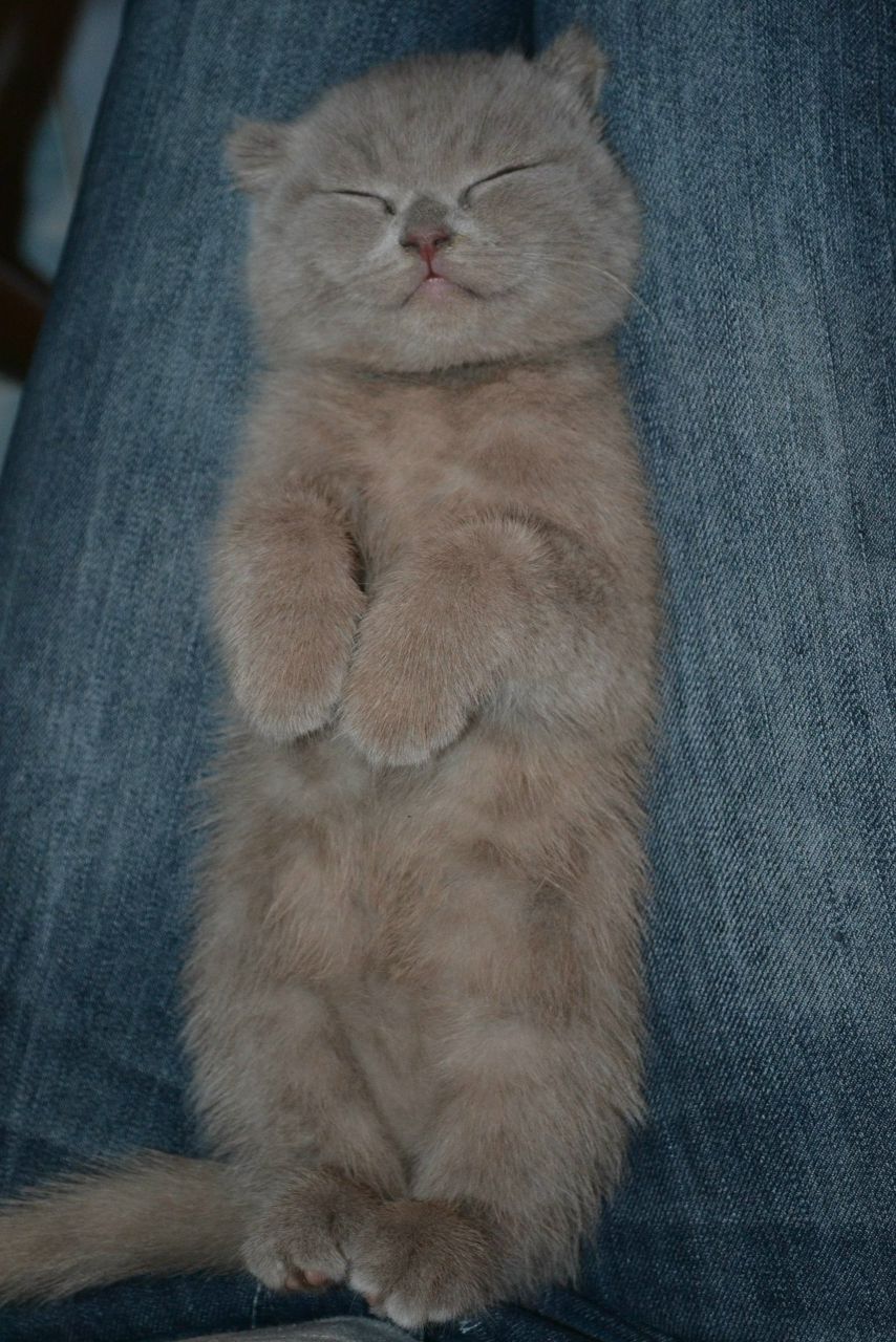 Орися Христофорова | Тернополь