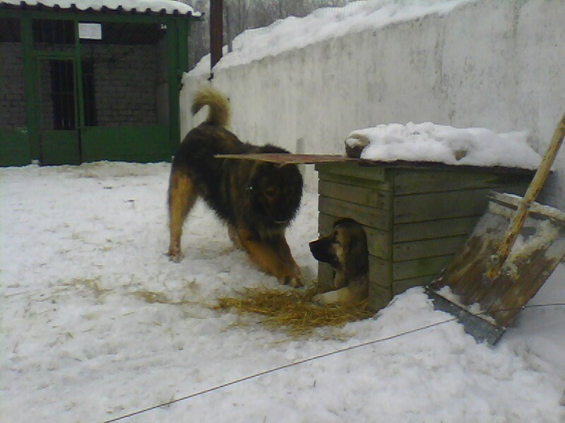 Александр Герасимов ┴═╦╕Ak47 | Ульяновск