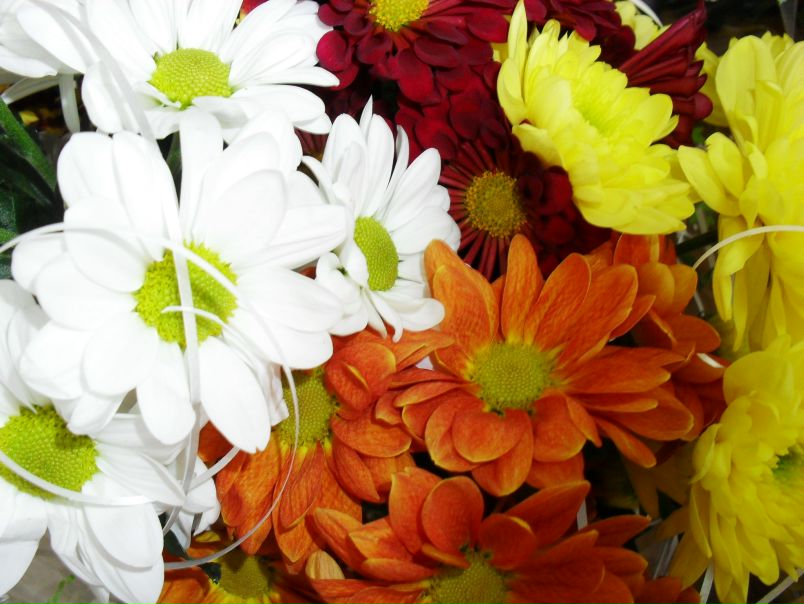 №26, Татьяна Усатая, Одесса №26, Татьяна Усатая, Одесса