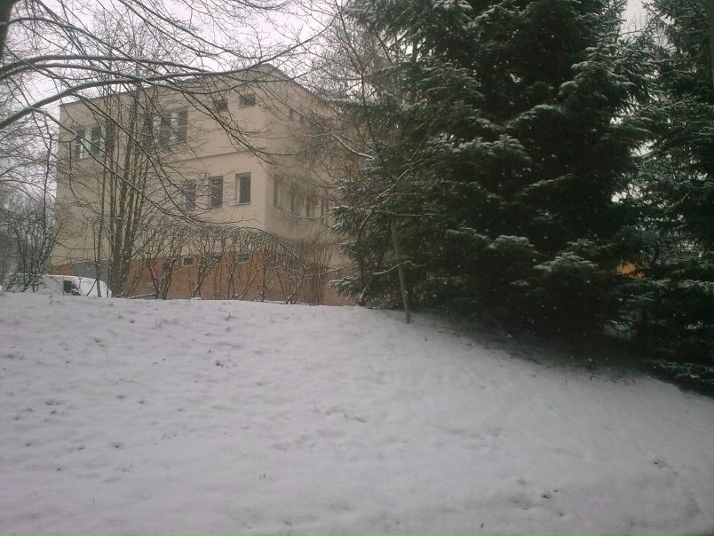 №13, Eлеонора Лукач, Стебное №13, Eлеонора Лукач, Стебное