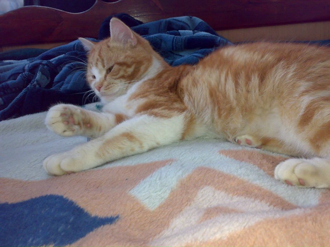 Игорь Михайлов | Кропивницкий / Кировоград