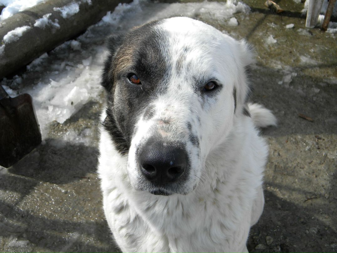 Ваня Новоселов | Сочи