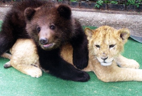 №103, Романа Зверева, 33 года, Екатеринбург, Россия №103, Романа Зверева, 33 года, Екатеринбург, Россия