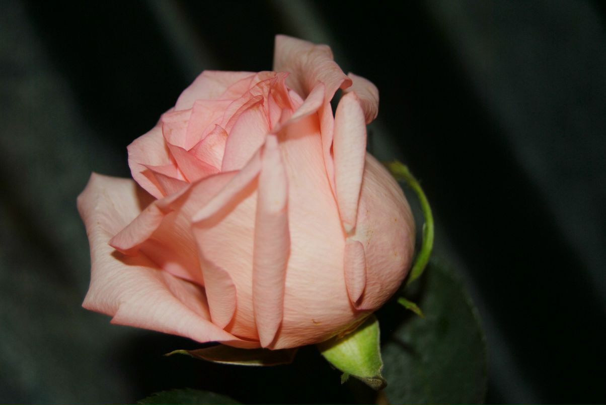 Валерия Шамсутдинова | Оренбург