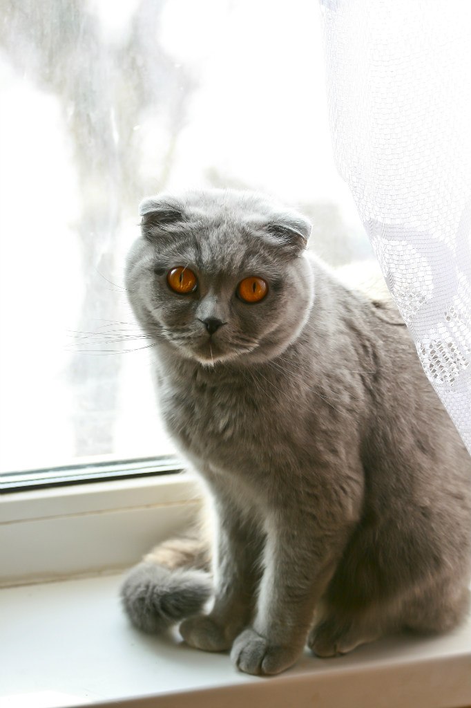 Макс Орас | Москва