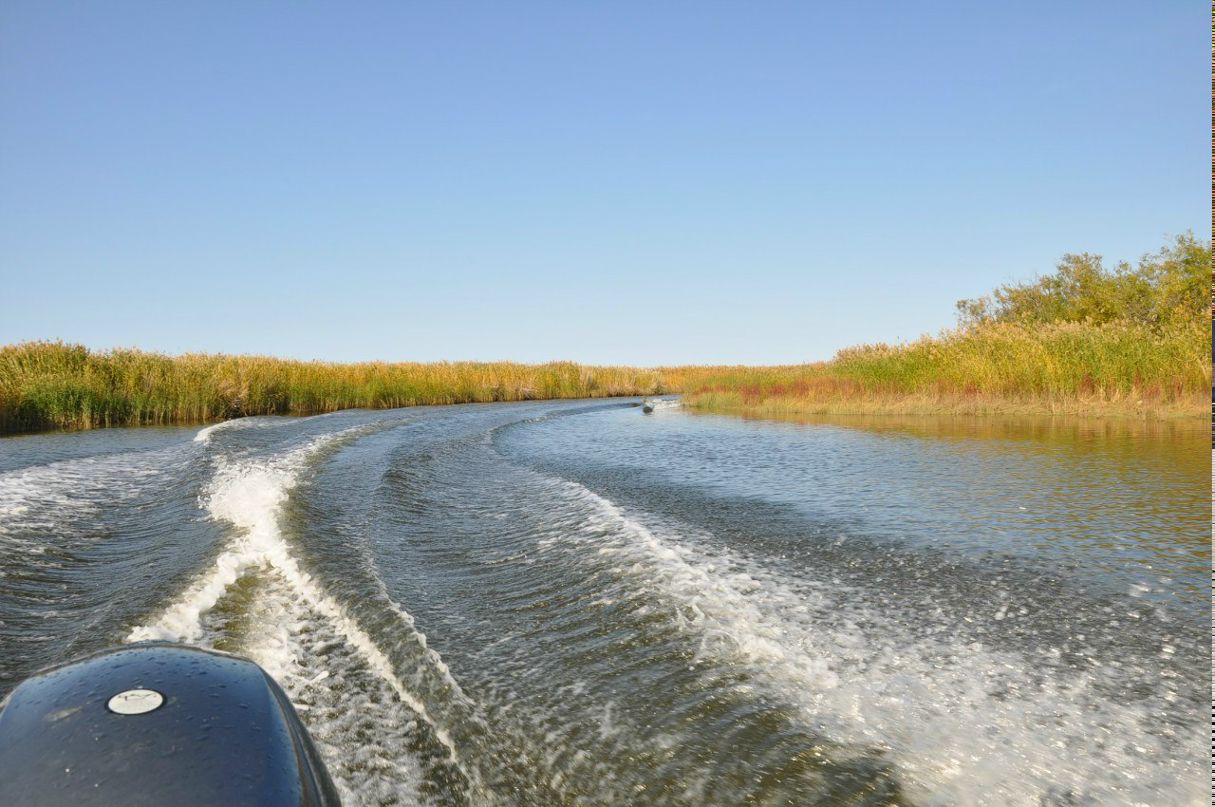 Марк Герценштейн | Архангельск