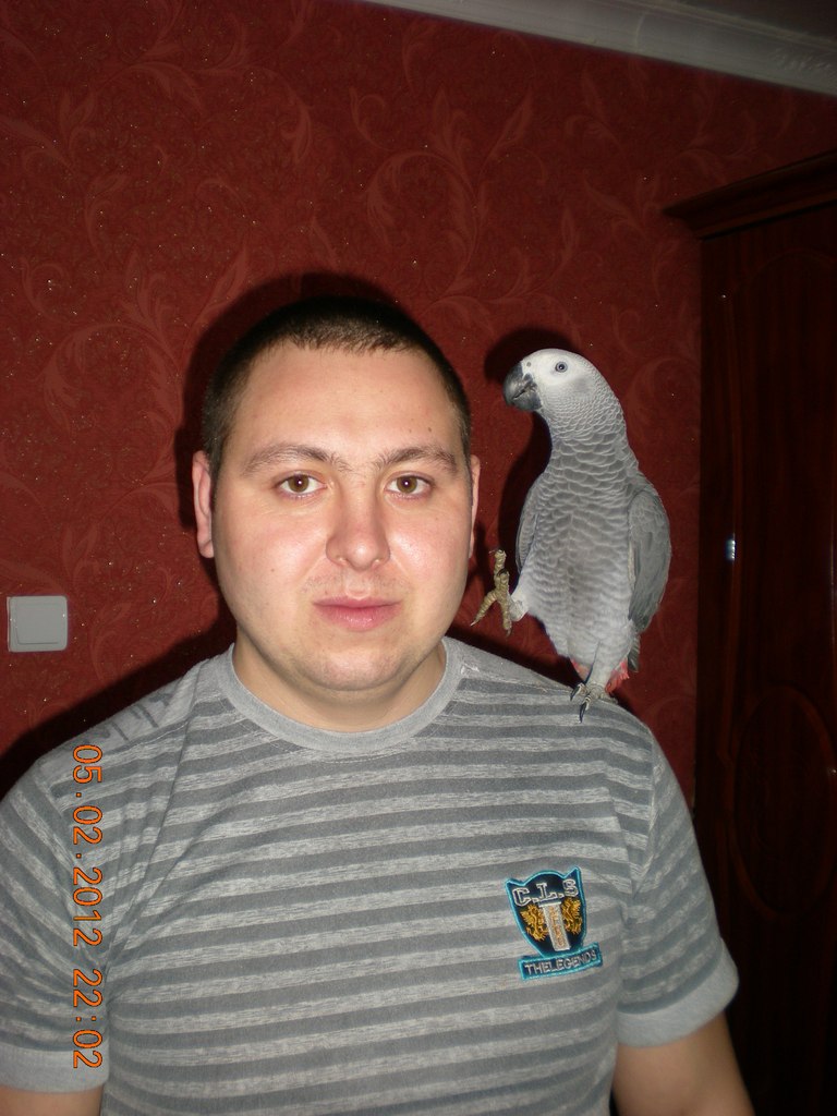 Александр Лунгов | Березовка