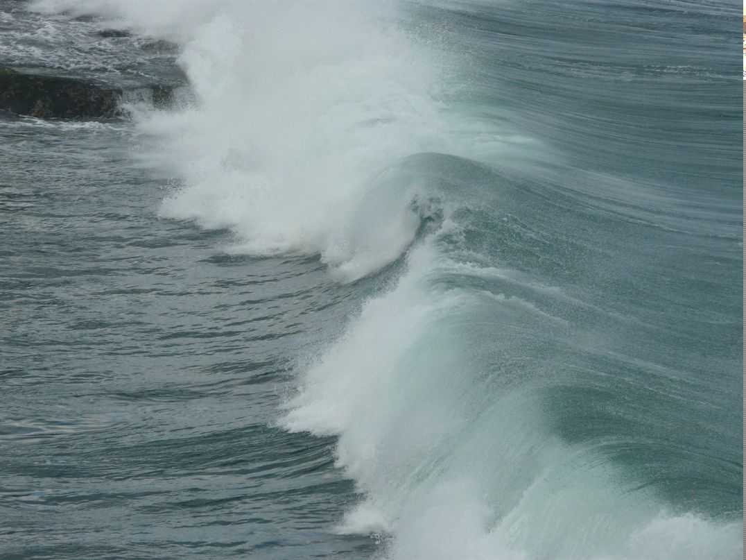 Константин Скринжевский | Москва