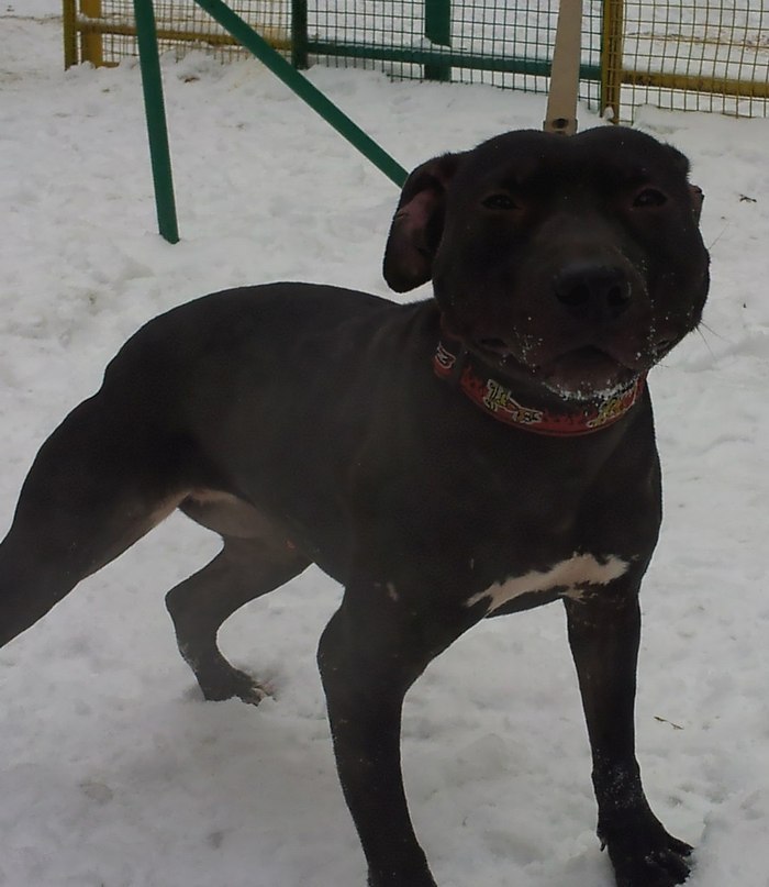 Юра Яр | Анапа