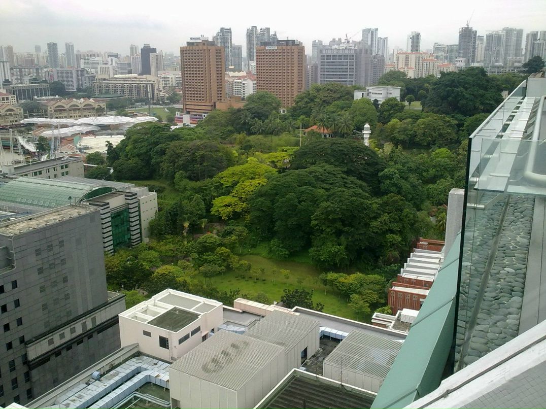 Серёжа Тарасенко | Одесса