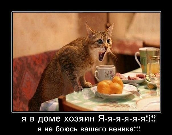 №77, Алексей Белокуров, Санкт-Петербург №77, Алексей Белокуров, Санкт-Петербург