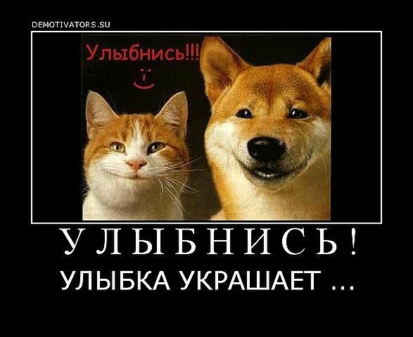 №98, Ирка Алиса, Одесса №98, Ирка Алиса, Одесса