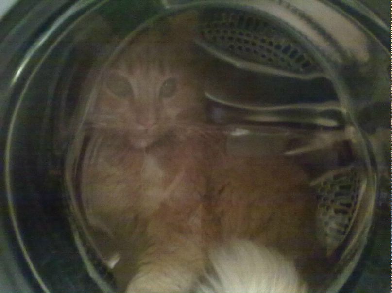 Любовь Вавулина | Пермь