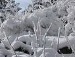 Вікуля Грінчук фотография #27 (источник - https://vk.com/id149542963)