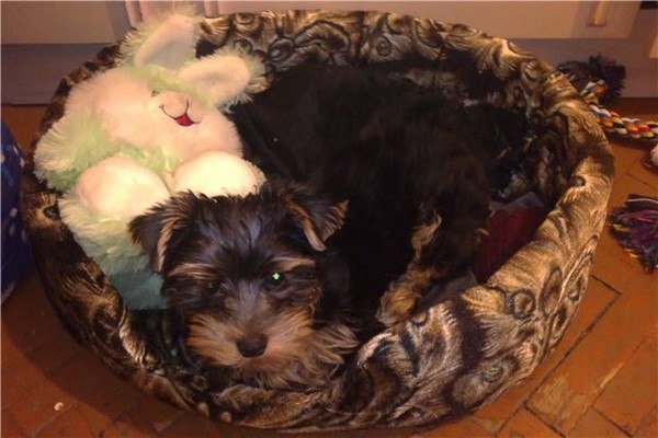 Сергей Лопатюк | Санкт-Петербург