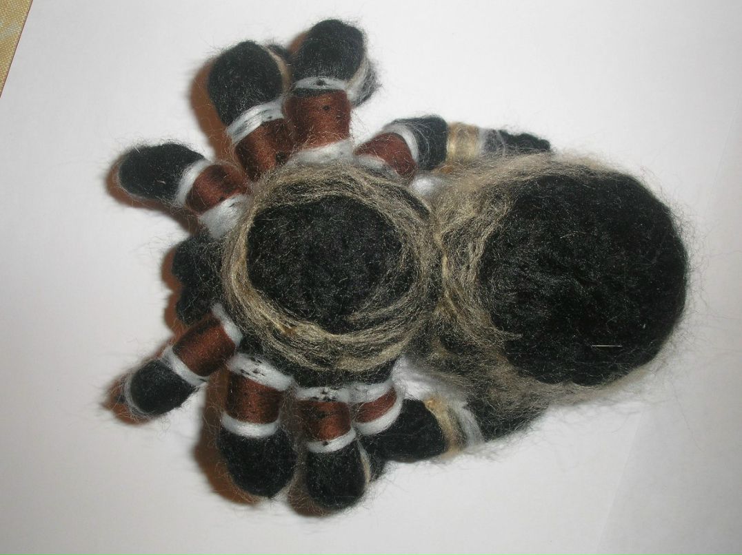 Мария Смирнова Логиненкова | Москва