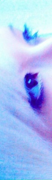 №33, Маняша Климчук, 34 года, Киев №33, Маняша Климчук, 34 года, Киев