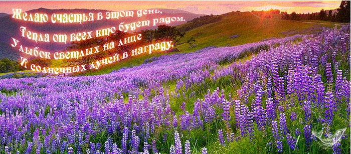 Лейла Авдимова | Набережные Челны