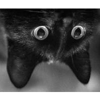 Nargiz Гусейнова | Ростов-на-Дону