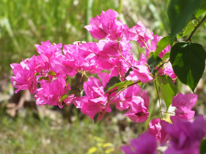 Надежда Платонова | Якутск