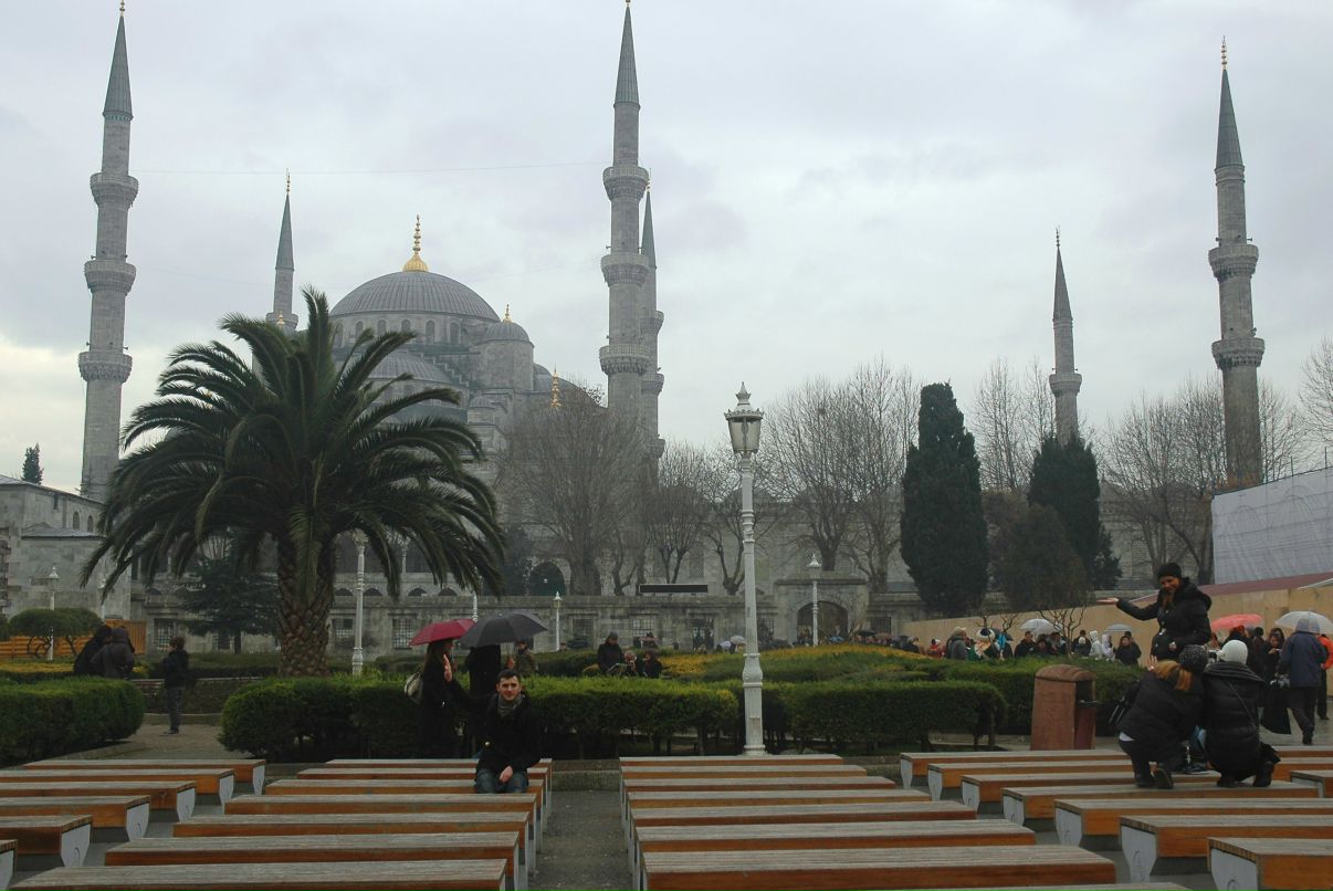 Максим Щербина | 