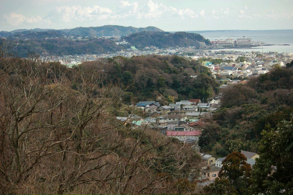 Oksana Pleshkova | New York City