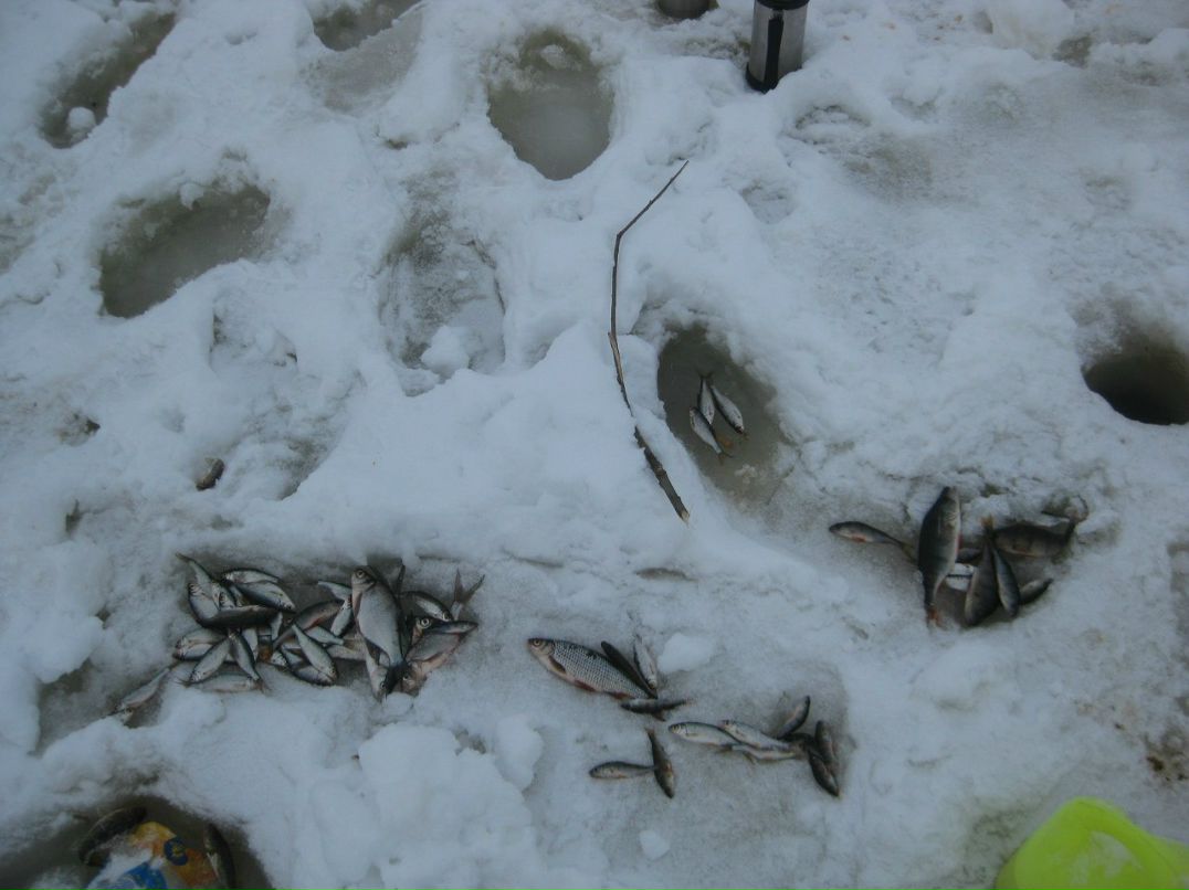 Лёха Косьтенко | Апатиты